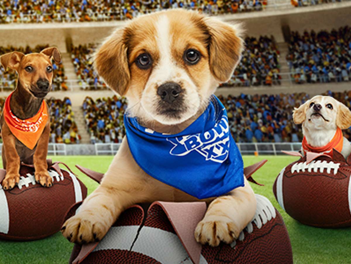 Puppy Bowl Project